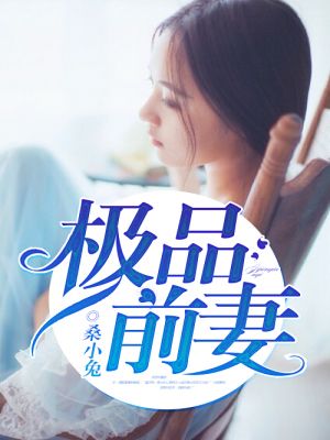 極品前妻小說封面