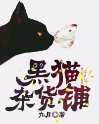 黑猫杂货铺小说封面