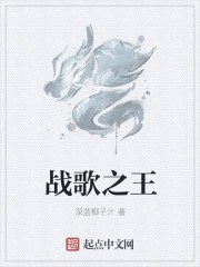 戰歌之王小說封面