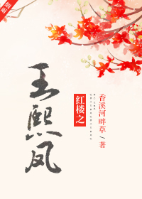 紅樓之王熙鳳小說封面