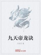 九天帝龍訣小說封面