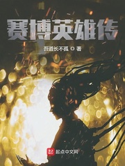 賽博英雄傳小說封面