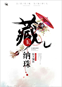 藏玉納珠小說封面